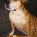 Profile Picture of Jennifer Haase (@jennifer.haase.7146) on Facebook