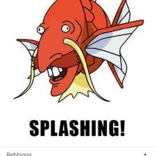 Profile Picture of Brad Collins (@SplashingKarp96) on Twitter