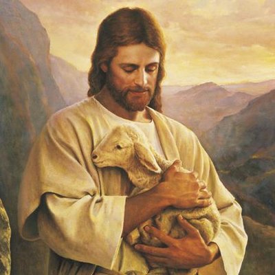 Profile Picture of Thomas Lam (@thomaslam30) on Twitter