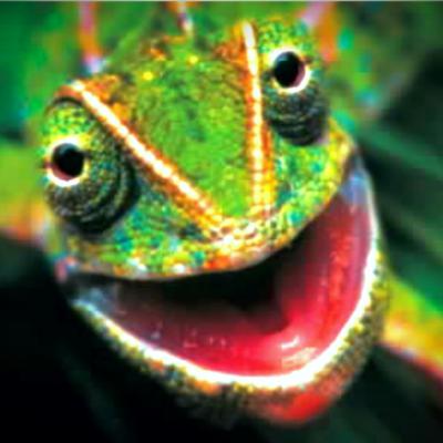Profile Picture of Joseph McFarland (@StupidRegal) on Twitter