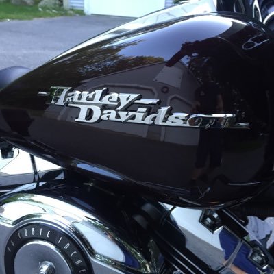 Profile Picture of Dan Labbe (@Dlabb99) on Twitter