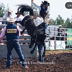 Profile Picture of Sam Holleis (@samholleis) on Tiktok