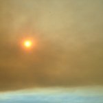 Profile Picture of Jesse Kamm (@jessekamm) on Instagram