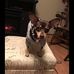 Profile Picture of Lori Haws (@lori.haws.733) on Facebook