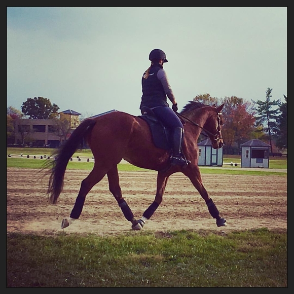 Profile Picture of Kelly Page (@eques582) on Poshmark