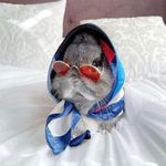 Profile Picture of Thanawat Ewens (@bunnydayoff) on Instagram