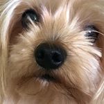 Profile Picture of Alejandro Daniel Delfino (@alejandro_delfino739) on Instagram