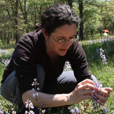 Profile Picture of Anne Royer (@AnneMRoyer) on Twitter