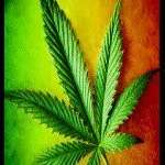 Profile Picture of Wesley (@wesleyalvisli) on Instagram