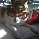 Profile Picture of Arnold (@arnoldcarlinosochill) on Instagram