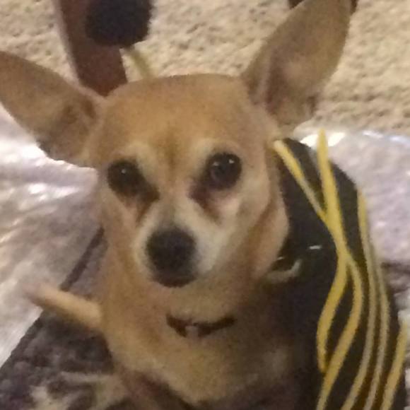 Kaarin Malsch - Poshmark Profile Picture of Kaarin Malsch (@kmalsch3221) on Poshmark