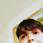 Profile Picture of EnderFox (@leonardosettimi__) on Instagram