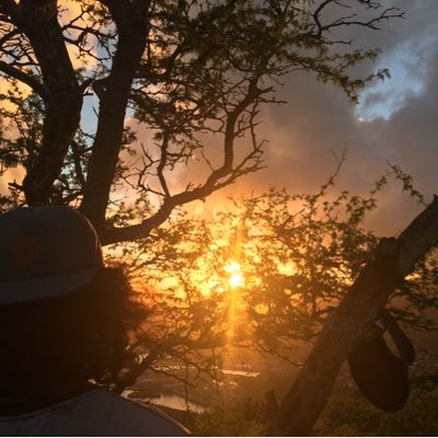 Profile Picture of Joshua Rennie (@SerengeteeHI) on Twitter