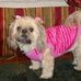 Profile Picture of Patti WhitleyCurlee (@patti.whitleycurlee) on Facebook