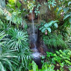 Profile Picture of Nancy Zeigler (@nancyzeigler0) on Tiktok