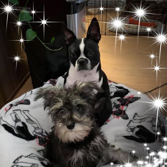 Kyle Musselman - Poshmark Profile Picture of Kyle Musselman (@kylemusselman91) on Poshmark