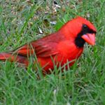 Profile Picture of Gary Staley’s Friends & Family (@gws_fnf) on Instagram