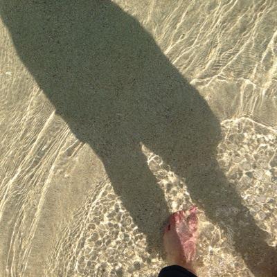 Profile Picture of Paula (@pbenn68) on Twitter