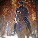 Profile Picture of Marcia Weilbach (@marciaweilbach) on Pinterest