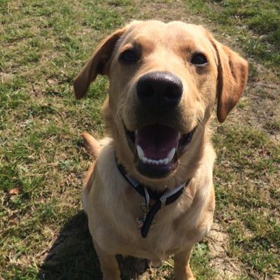 Profile Picture of Mark Livesey (@marklivesey) on Twitter