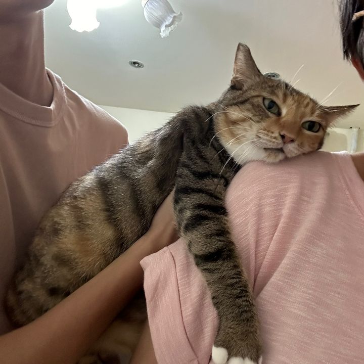 佩姬 - Tiktok Profile Picture of 佩姬 (@tzengpeggy) on Tiktok