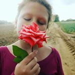Profile Picture of Amanda Sell Dummer (@amanda_sell_dummer) on Instagram