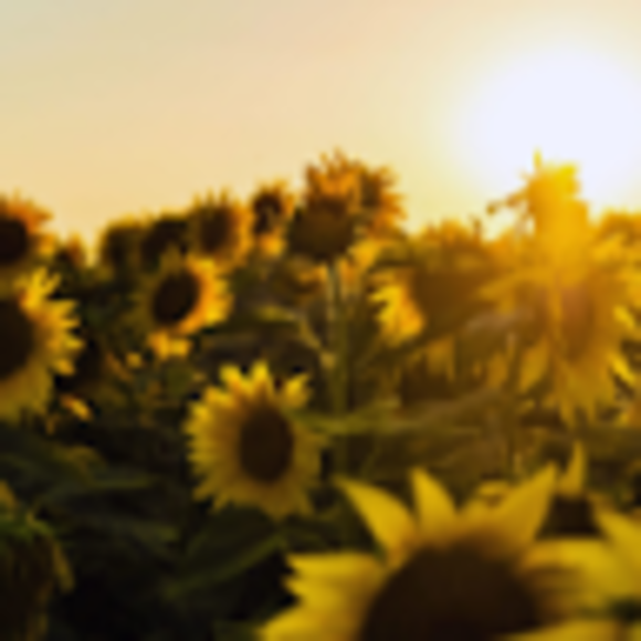 Profile Picture of Abigail Wakolee-boos (@abigailwakol971) on Poshmark