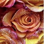 Stacey Mathieu - Instagram Profile Picture of Stacey Mathieu (@staceymathieu) on Instagram