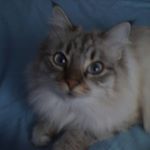 Ana Isabel Aragon Chumillas - Instagram Profile Picture of Ana Isabel Aragon Chumillas (@geblase) on Instagram