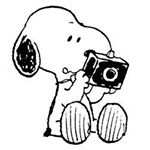 Profile Picture of 寫音 (@syaon_ism) on Instagram