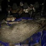 Profile Picture of Jeremiah Haggard (@jeremiah.haggard) on Instagram
