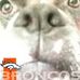 Profile Picture of Nancy Wallace (@nancy.wallace.31586) on Facebook