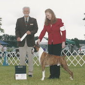 Profile Picture of Cindy Swanson (@cindyswanson2880) on Youtube