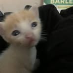 Profile Picture of Muffins Oiyster (@Muffins-Oiyster) on Facebook