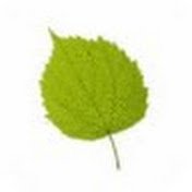 Profile Picture of Hazel Phillips (@hazelmottram) on Youtube