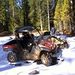 Profile Picture of Darin Meier (@ziggybop9) on Pinterest