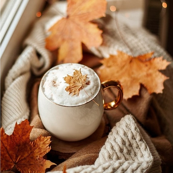 Profile Picture of Lucia Lucia (@poshmarklucia) on Poshmark