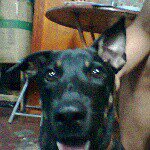 John Cristopher Cayabyab - Instagram Profile Picture of John Cristopher Cayabyab (@tophercayabyab) on Instagram