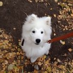 200 Дней До Лета - Instagram Profile Picture of 200 Дней До Лета (@200_day) on Instagram