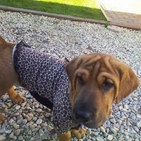 Profile Picture of Lorie Benson (@lorie-benson) on Quora