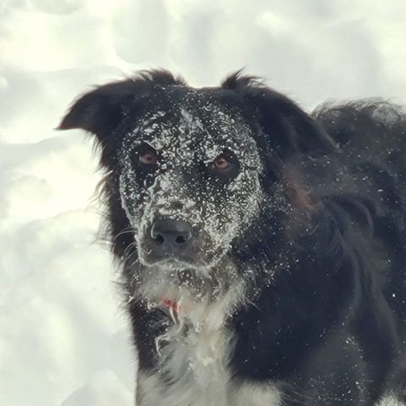 Profile Picture of Serena Wittner (@serenawittner) on Poshmark