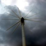 Profile Picture of Julianne Jacobs (@juliannejacobsh) on Instagram