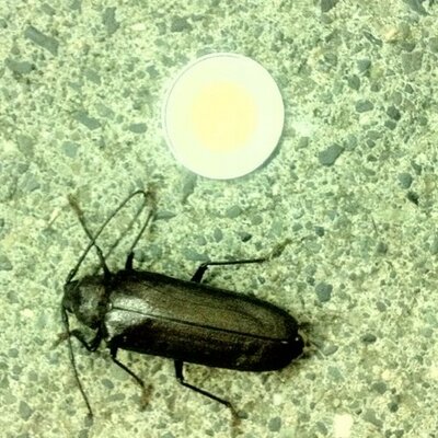 Profile Picture of Jeff Morley (@jeffmorley) on Twitter
