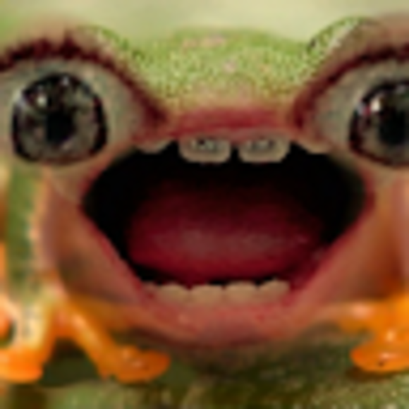 Profile Picture of Sophia Nicklow (@senicklow18) on Poshmark