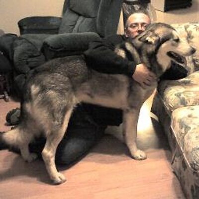 Profile Picture of Stephen Overby (@StephenOverbyTN) on Twitter