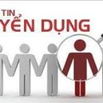 Profile Picture of Tuyển dụng việc làm tại Bắc Ni (@tri_thuc_viet) on Instagram