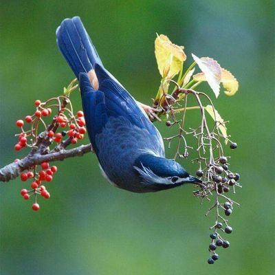 Profile Picture of Maria  Jesús  Del  Peral  Olejua (@JesusOlejua) on Twitter