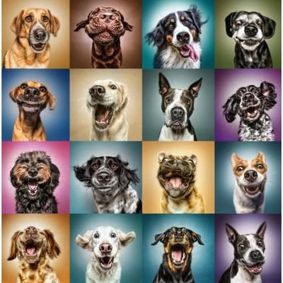 Profile Picture of Matt (@MattLander4) on Twitter