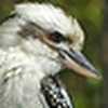 Profile Picture of mr matho (@mr matho) on Flickr