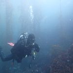 Profile Picture of jimmy yun (@yun_jimmy) on Instagram